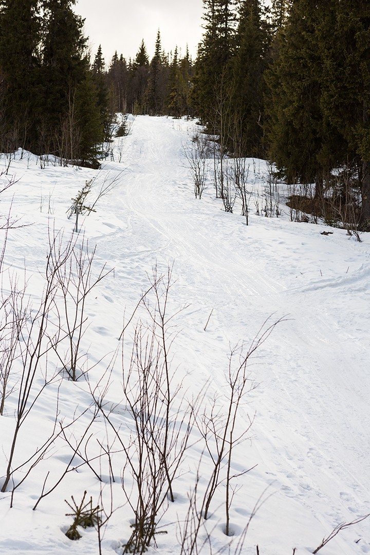 Ski-in Ski-out 