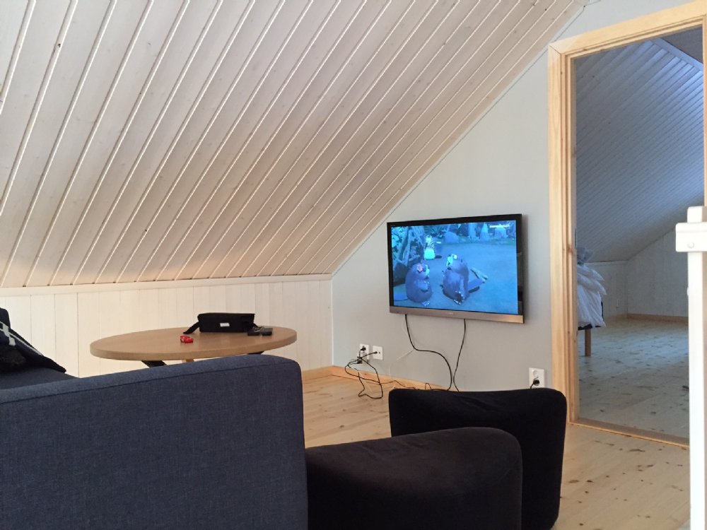 Loftet med soffa och TV 