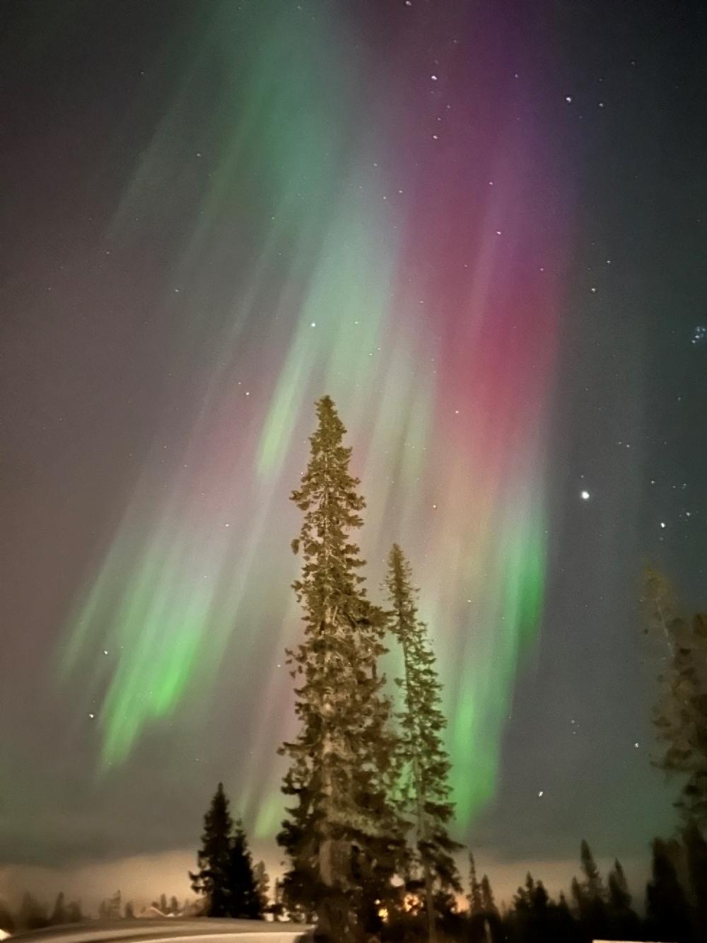 M�jlighet att se norrsken om du har tur och �r uppm�rksam&nbsp;