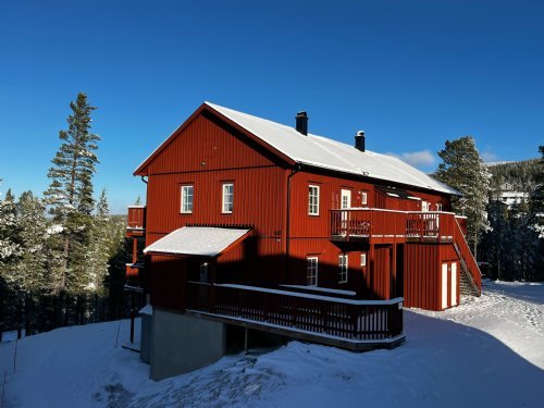 Tysta Stigen 40B